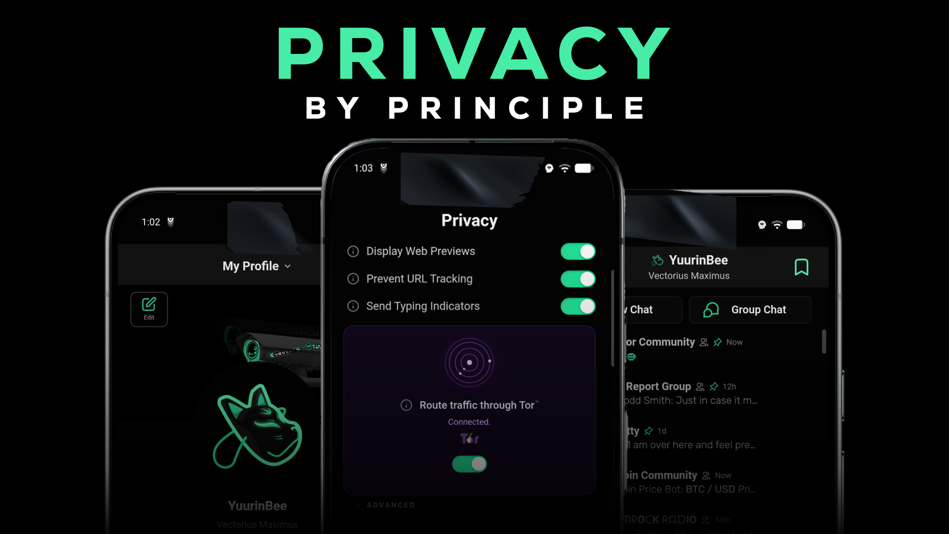 Privacy by Principle: Vector's profile, privacy settings with Tor enabled, and chat list